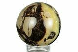 Polished Septarian Sphere - Madagascar #260035-1